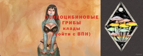 тгк Алексин