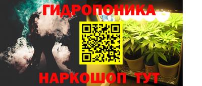 мдпв Татарск