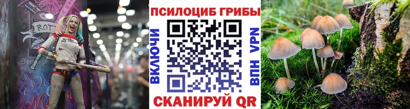 Галлюциногенные грибы мухоморы дарк нет наркотические препараты Белгород