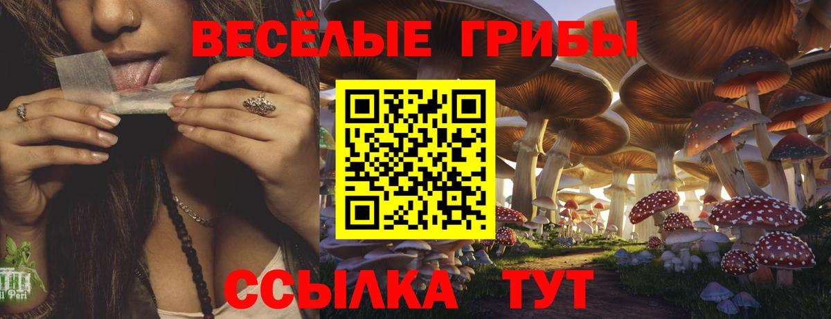 Псилоцибиновые грибы MAGIC MUSHROOMS Белгород