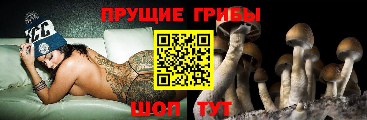 МАРИХУАНА Белгород