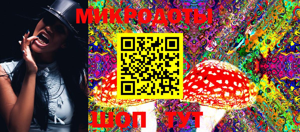 Галлюциногенные грибы Psilocybine cubensis  Вход с VPN  Белгород 